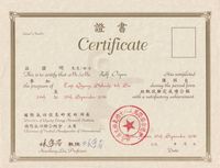Lin Housheng Lehrer-Zertifikat Shibashi 4.Set Rolf Oepen